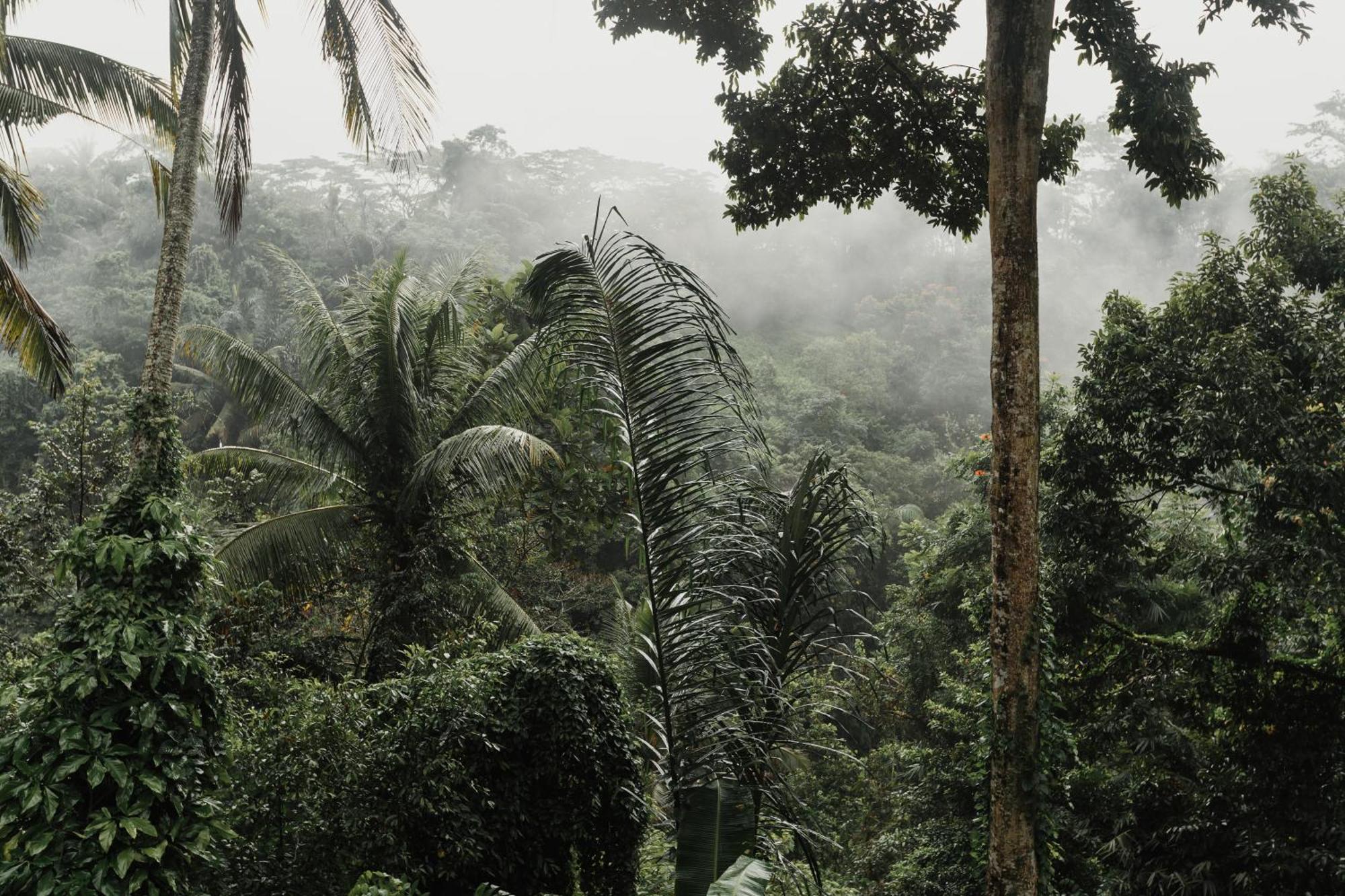 The Iyang Ubud Екстер'єр фото